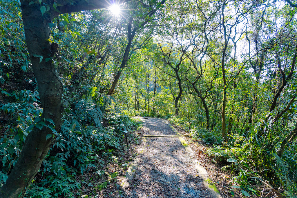 荖寮坑礦業生態園區步道