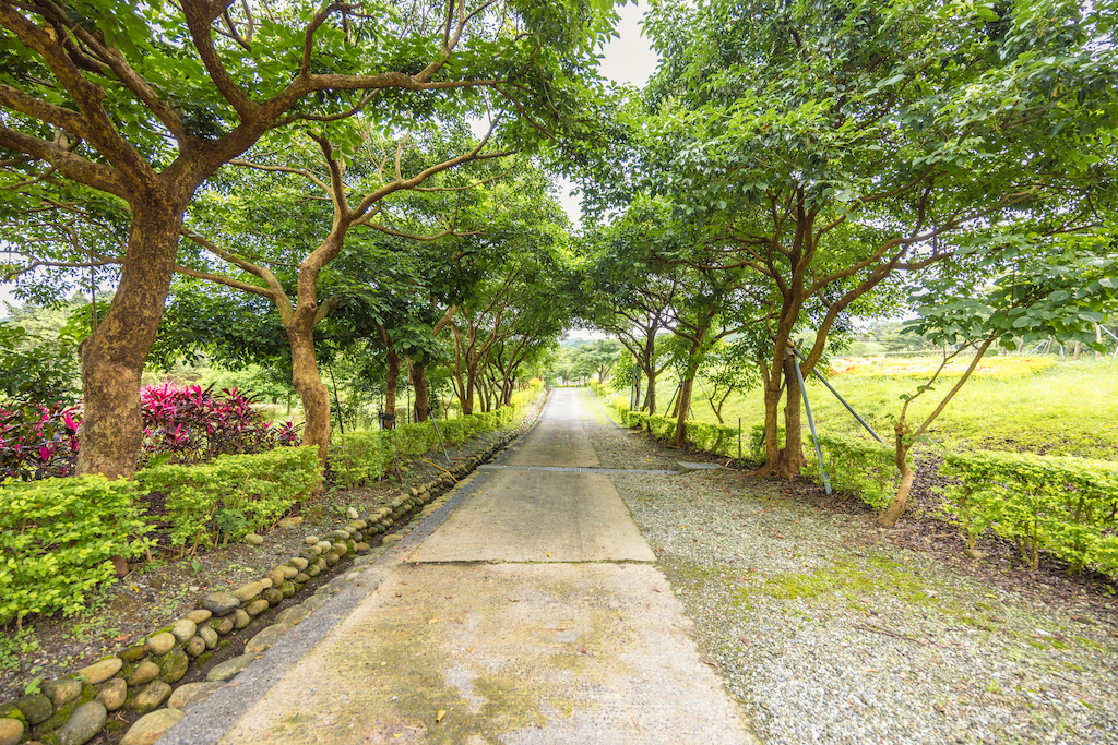 天外天復育公園近景