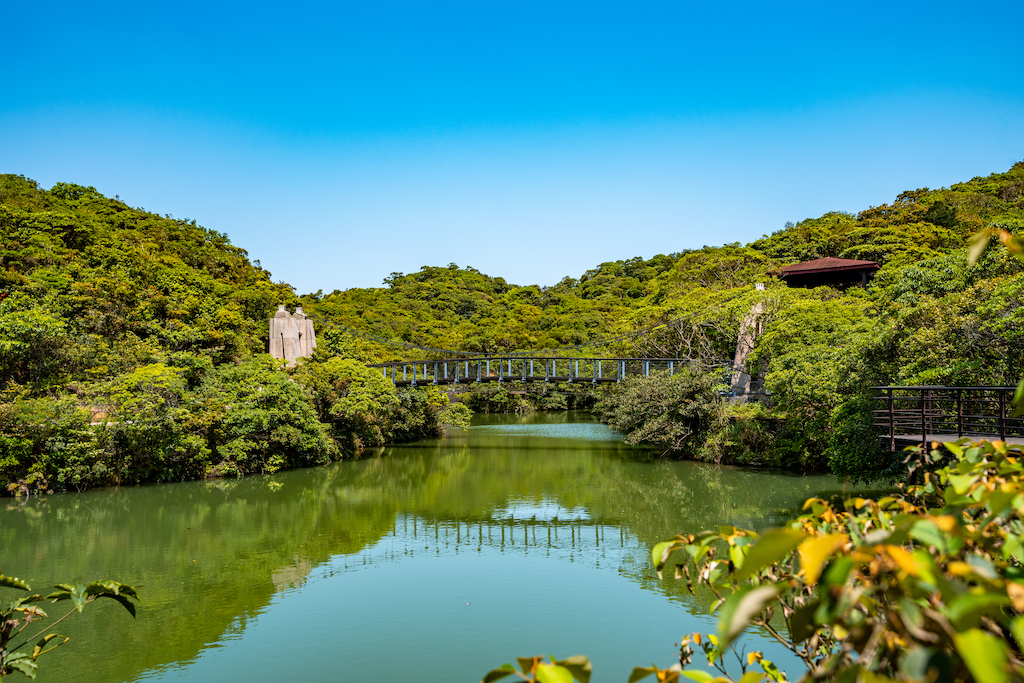 情人湖公園近景