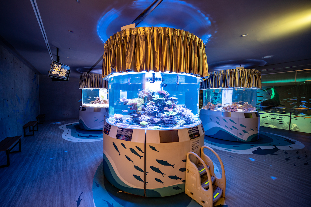 場地內區域特寫-3