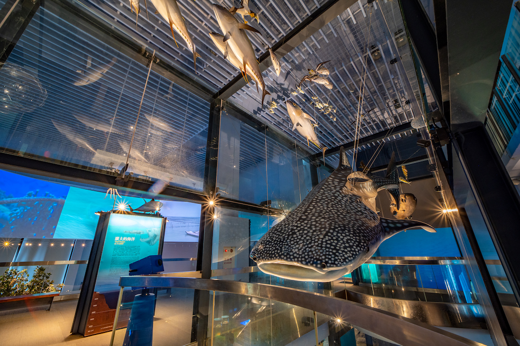 場地內區域近景-3