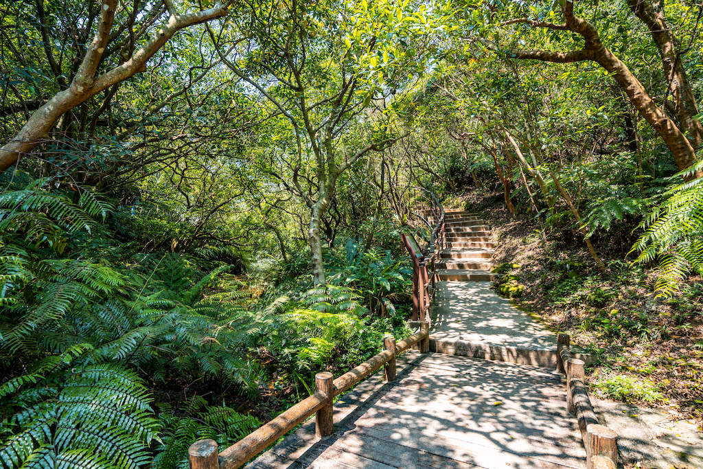 場地區域拍攝-2