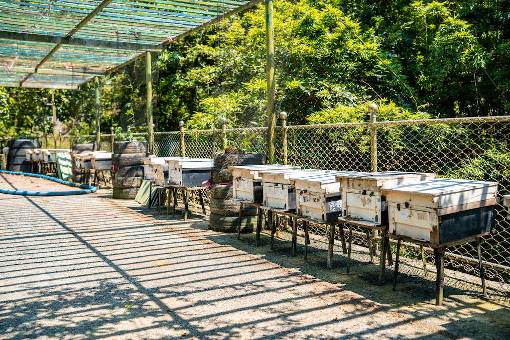 場地內區域照-2