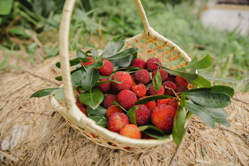 場地農事 DIY 體驗-3