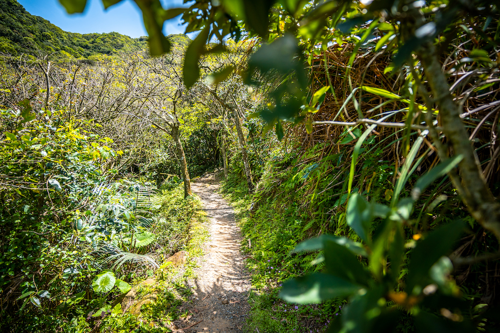 場地步道空景-2