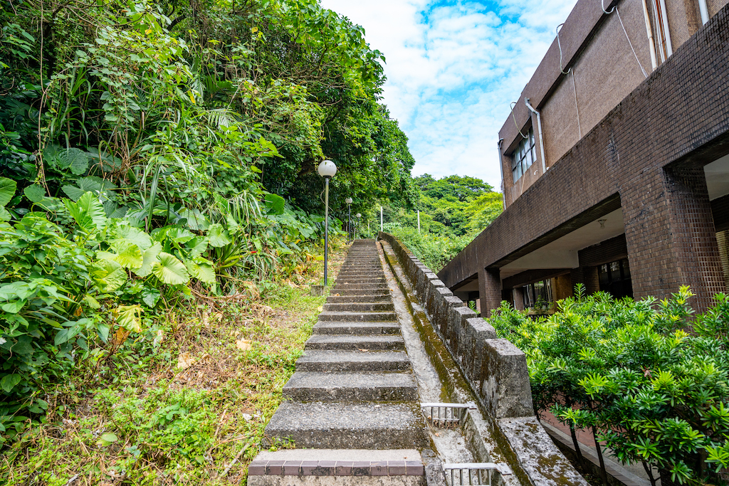 場地步道近景-1