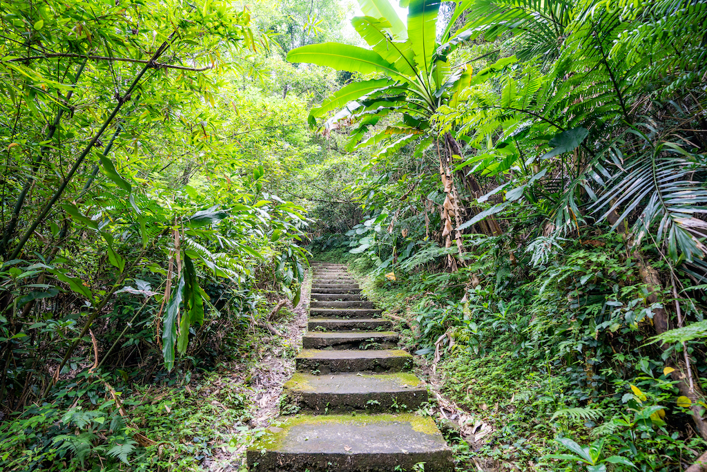 場地步道近景-2