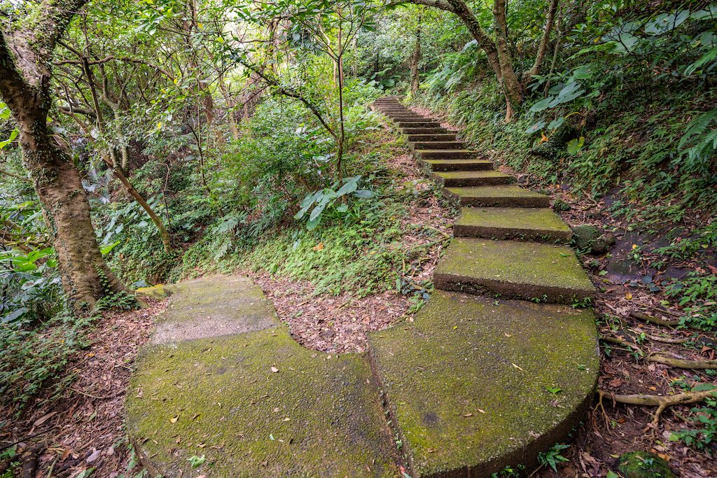 場地步道近景-3