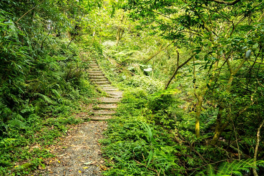 場地步道景照-1