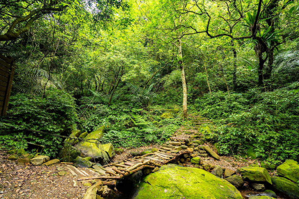 場地步道景照-2