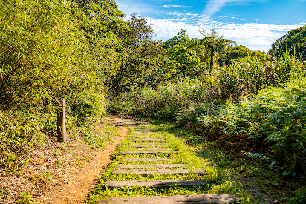 場地步道近景-1