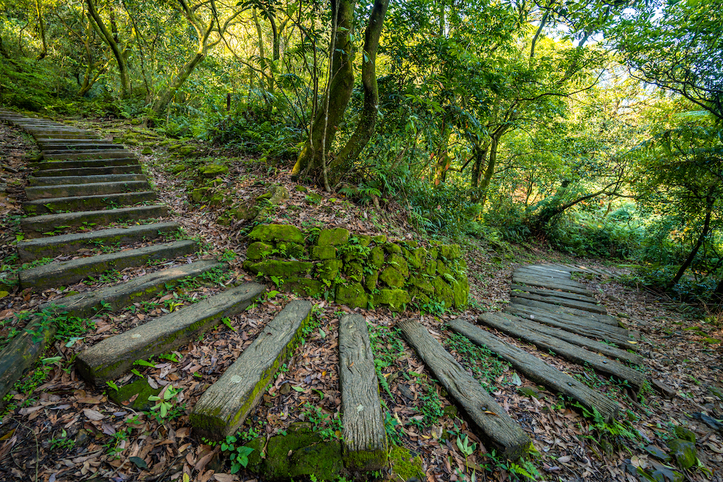 場地步道近景-2