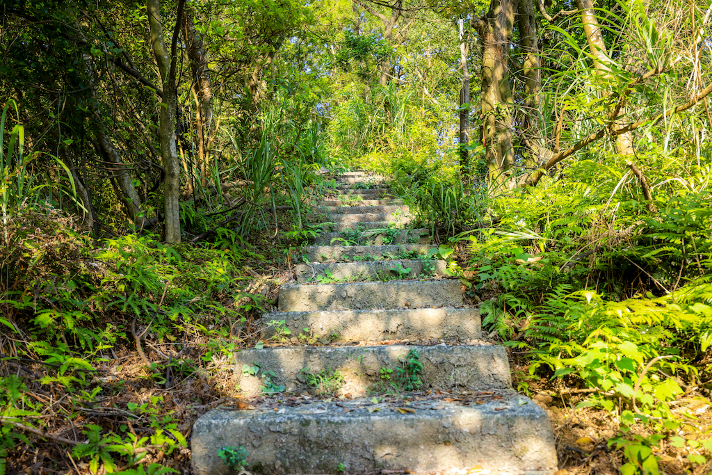 場地內區域特寫-1
